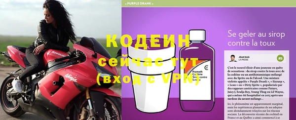 прущие крисы Инта