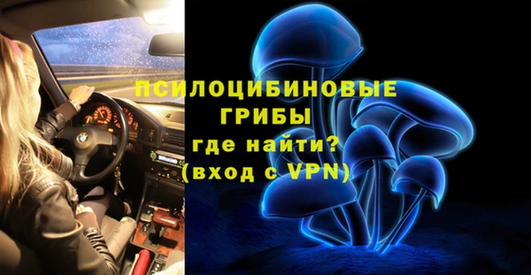 прущие крисы Инта