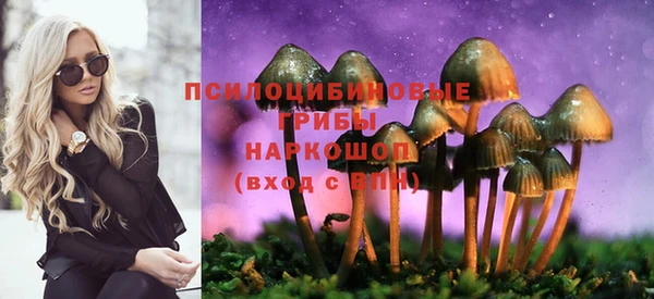 ПСИЛОЦИБИНОВЫЕ ГРИБЫ Каменногорск